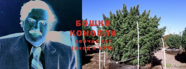 эйфоретик Бронницы
