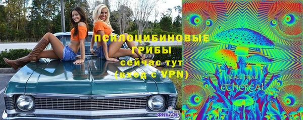 spice Бугульма